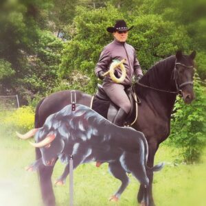 Michael Working Equitation